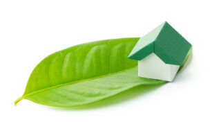 Green Homes Grant Image